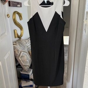 Black and White Sleeveless Sheath Dress
Ann Taylor.